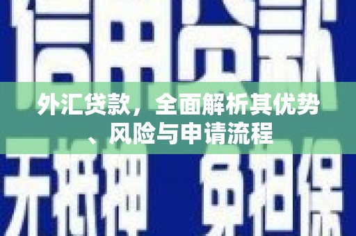 昌平外汇贷款，全面解析其优势、风险与申请流程