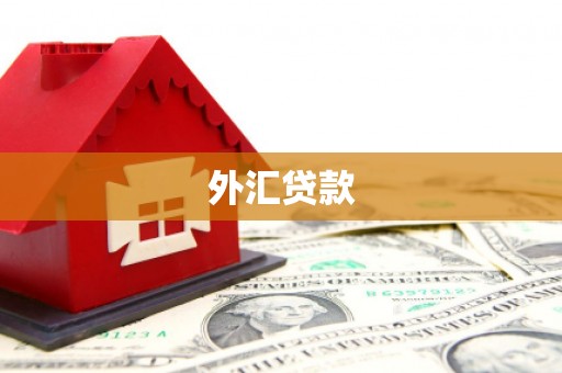 昌平外汇贷款