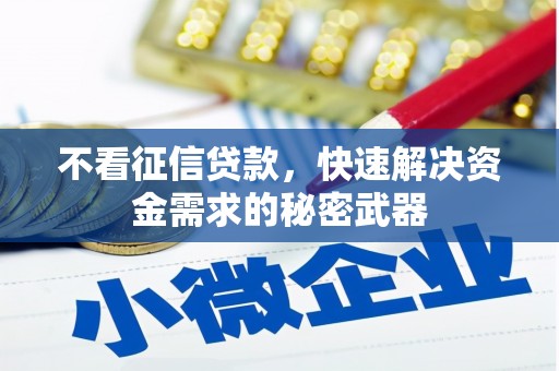 昌平不看征信贷款，快速解决资金需求的秘密武器