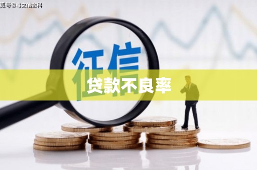 昌平贷款不良率