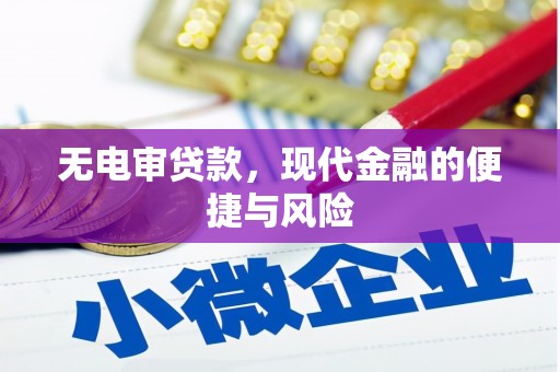 昌平无电审贷款，现代金融的便捷与风险