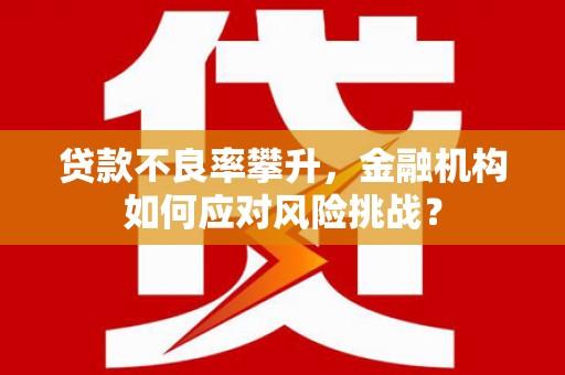 昌平贷款不良率攀升，金融机构如何应对风险挑战？