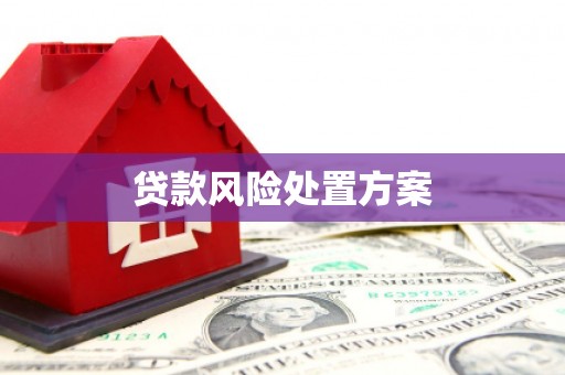昌平贷款风险处置方案