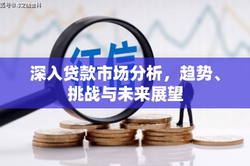 昌平深入贷款市场分析，趋势、挑战与未来展望