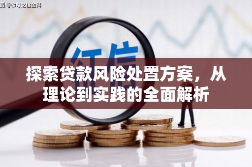 昌平探索贷款风险处置方案，从理论到实践的全面解析