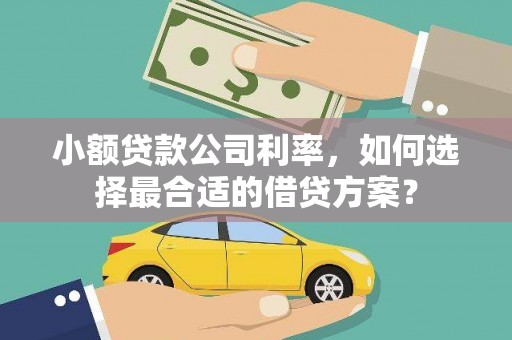 昌平小额贷款公司利率，如何选择最合适的借贷方案？