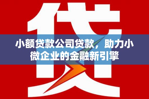 昌平小额贷款公司贷款，助力小微企业的金融新引擎