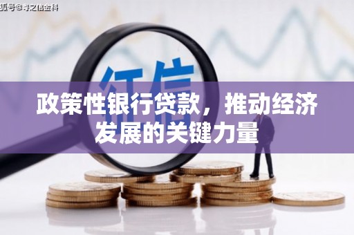 昌平政策性银行贷款，推动经济发展的关键力量