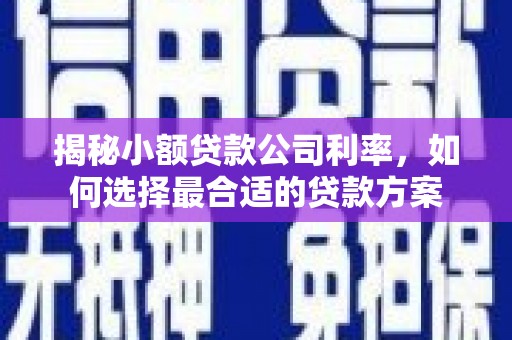昌平揭秘小额贷款公司利率，如何选择最合适的贷款方案