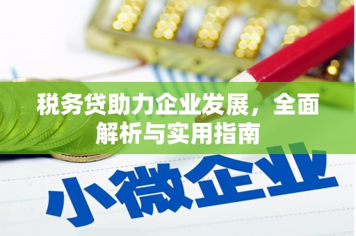 昌平税务贷助力企业发展，全面解析与实用指南