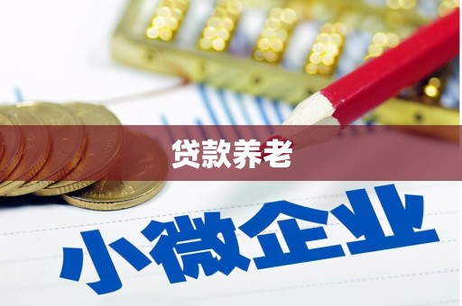 昌平贷款养老