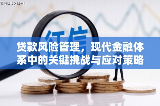 昌平贷款风险管理，现代金融体系中的关键挑战与应对策略