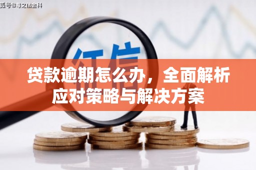昌平贷款逾期怎么办，全面解析应对策略与解决方案